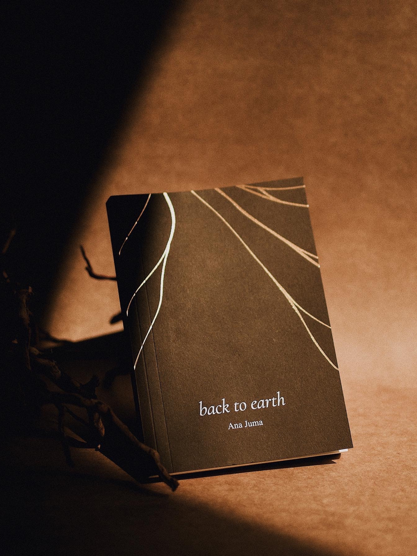 Back to Earth (Special Edition)
