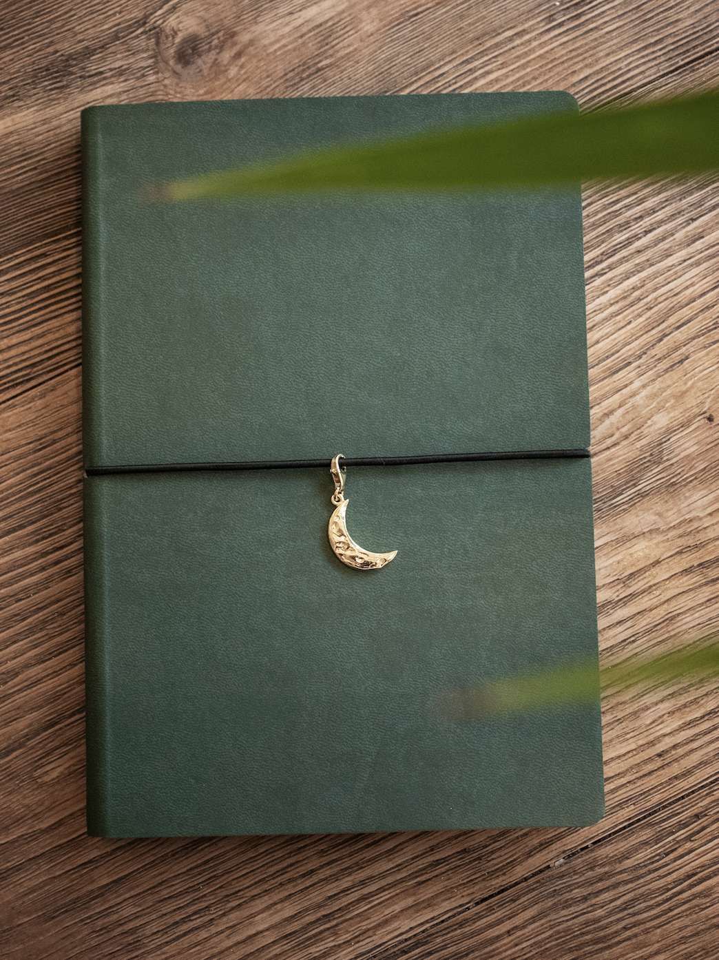 Crescent Moon Charm